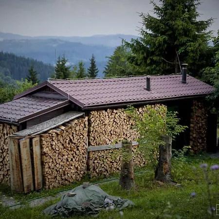 Slivka *