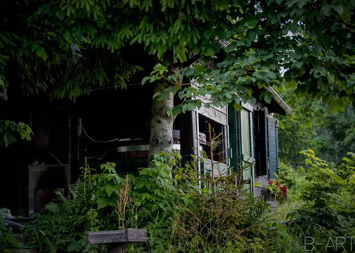 Apartmán Slivka Vysna Korna